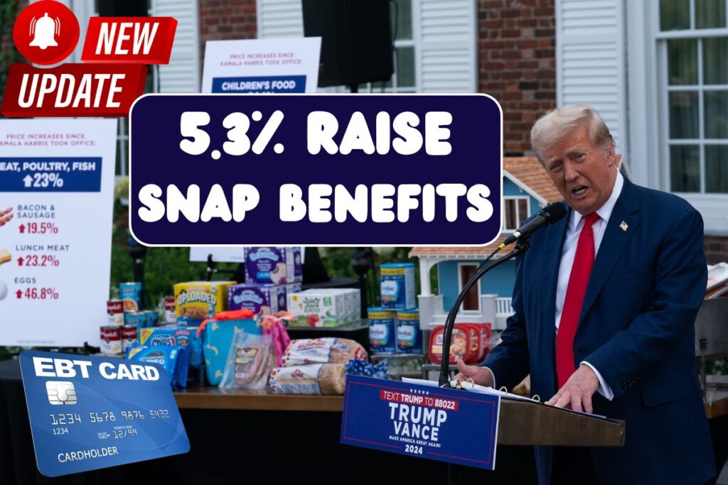 5.3% Raise For SNAP Benefits In November 2025 - Check Food Stamp New Amount After Increase