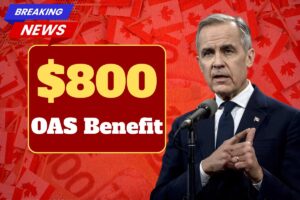 ⁠$800 OAS Benefit November 2025 – Check payment Dates & Eligibility