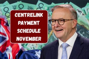 Centrelink Payment Schedule November 2025: Age Pension, FTB, Parenting, Youth Allowance Benefits