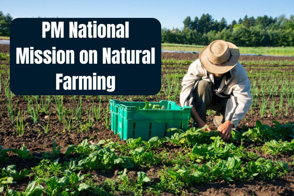 PM National Mission on Natural Farming 2025
